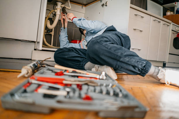 Best Local Plumber Services  in Topton, PA